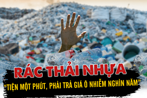 Thực trạng việc sử dụng, quản lý rác thải thải nhự hiện nay